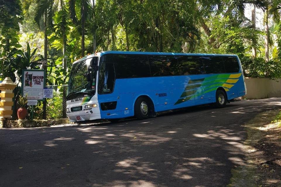 Cocos tours jamaica-蒙特戈贝必去景点