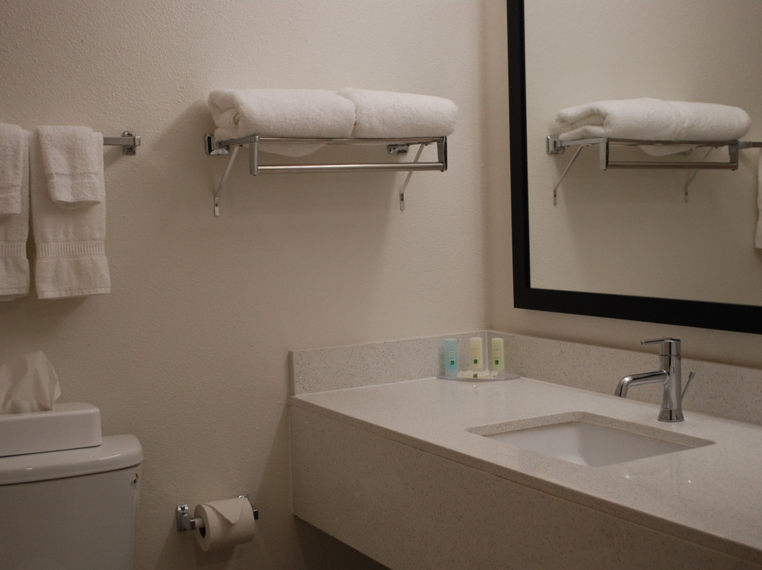 弗雷斯诺康福特茵酒店主图