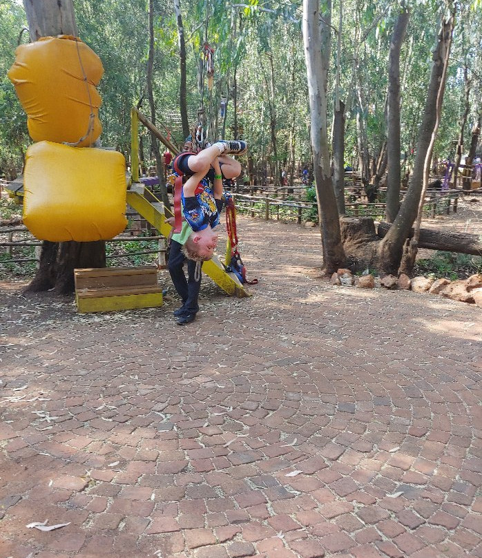 Acrobranch Centurion-三图里恩必去景点