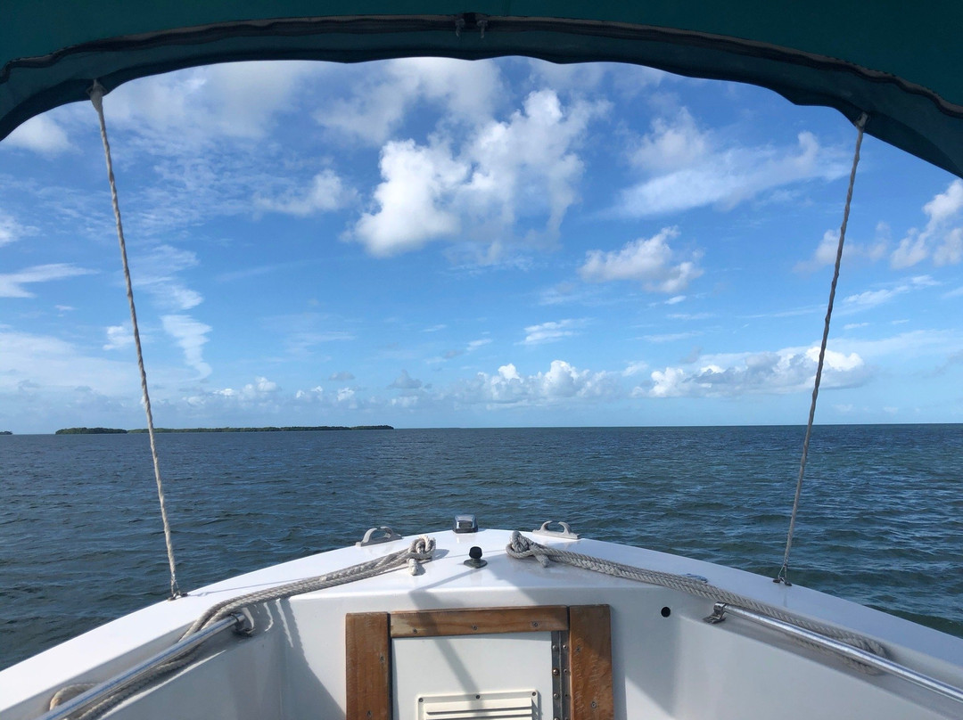 Dancing Dolphin Spirits Charters with Captain Victoria Impallomeni-基韦斯特必去景点