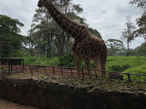 Safarilinks Africa-内罗毕必去景点