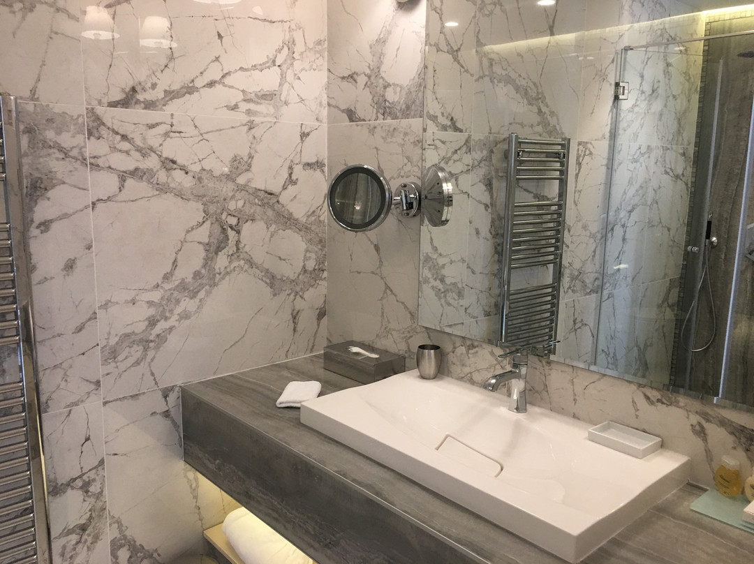 Tresor Le Palais Timisoara, Curio Collection By Hilton主图