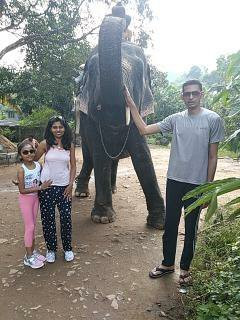 WOW Kerala Trips - Day Tours景点图片