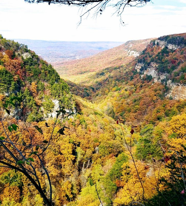 Cloudland Canyon State Park-Rising Fawn必去景点