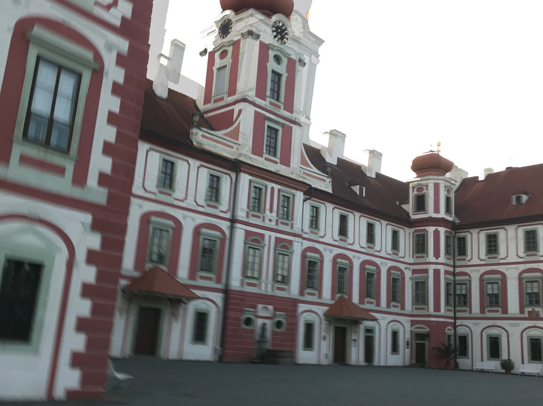 Zamek Mnichovo Hradiste景点图片