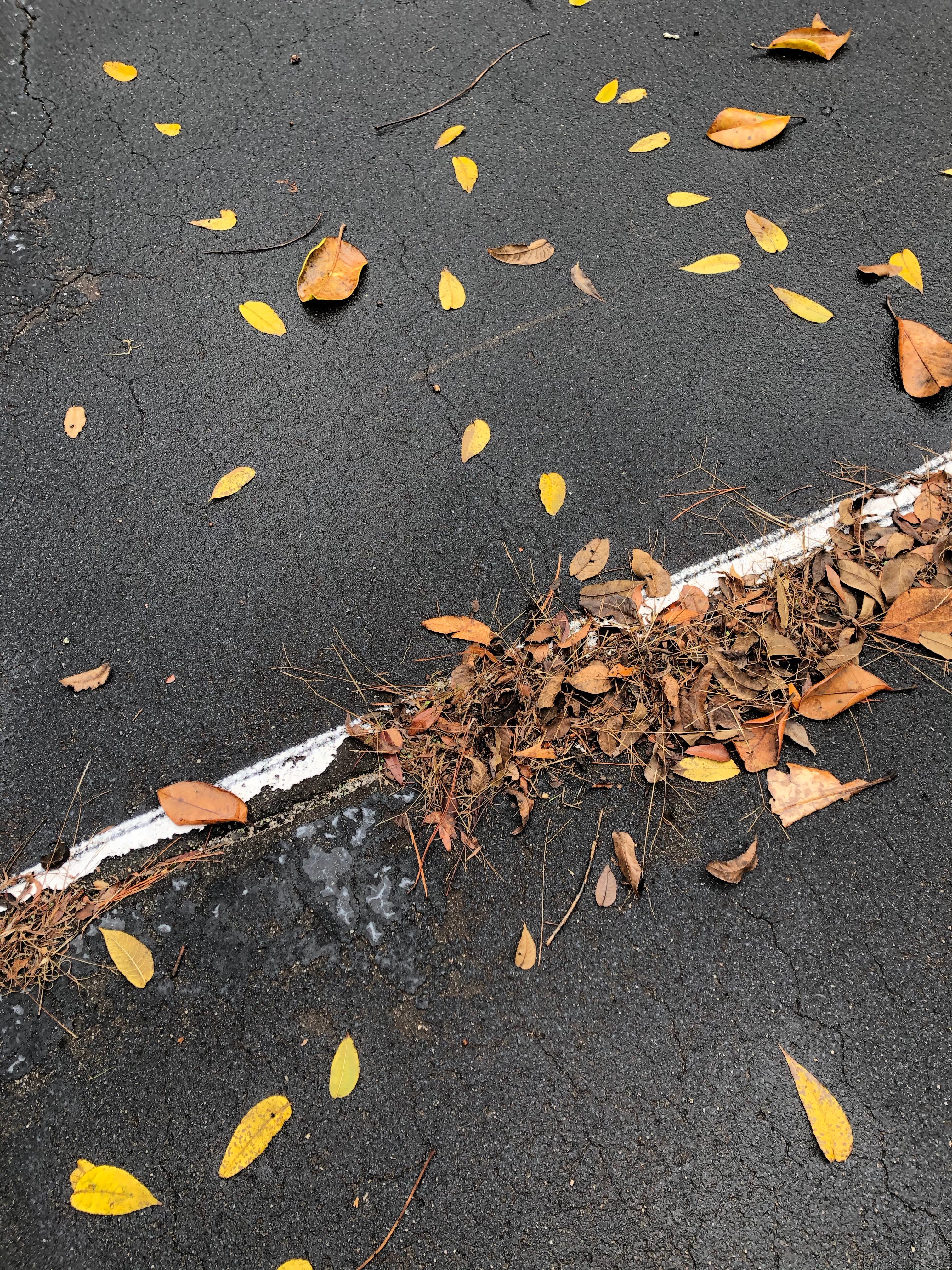 The Hampton House-家庭/游戏区