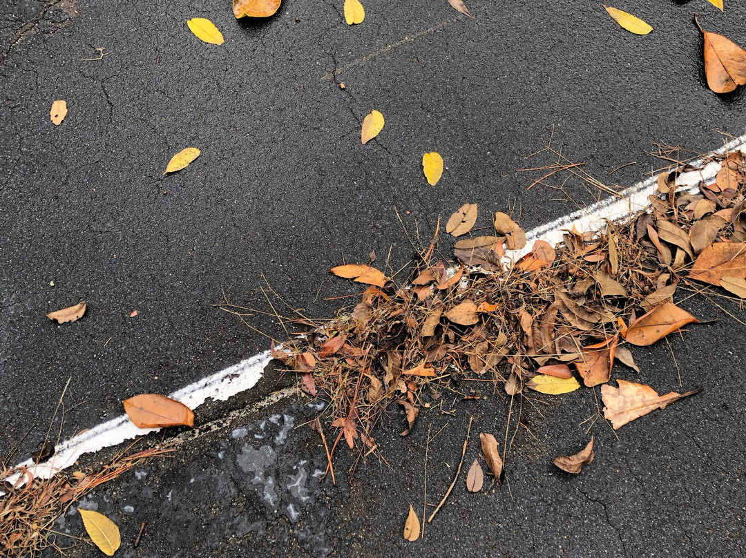 The Hampton House主图