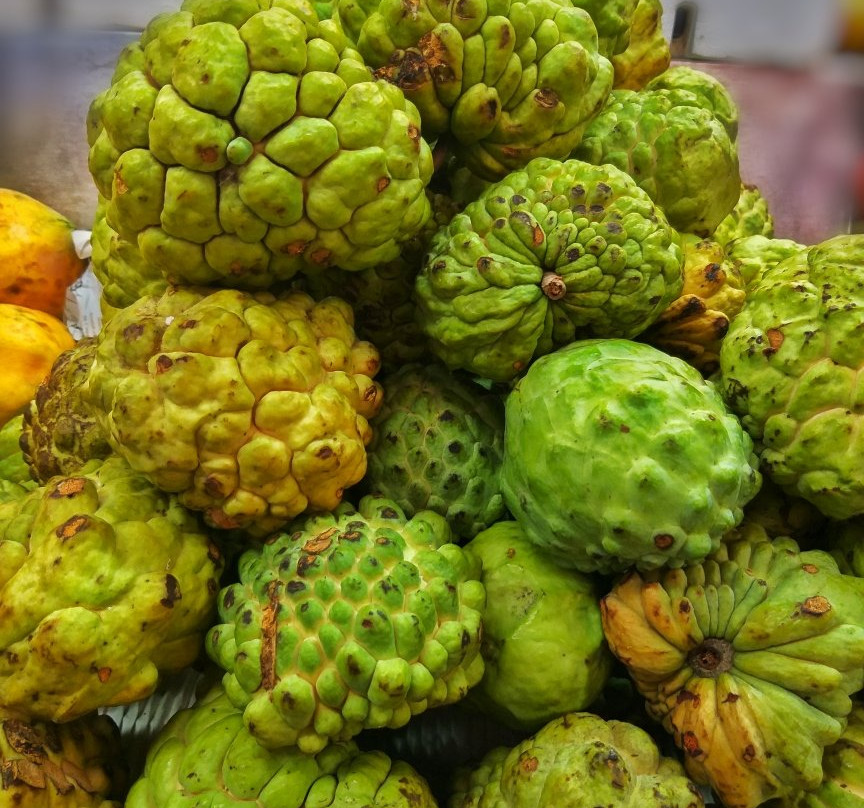 Plaza de Mercado Paloquemao-波哥大必去景点