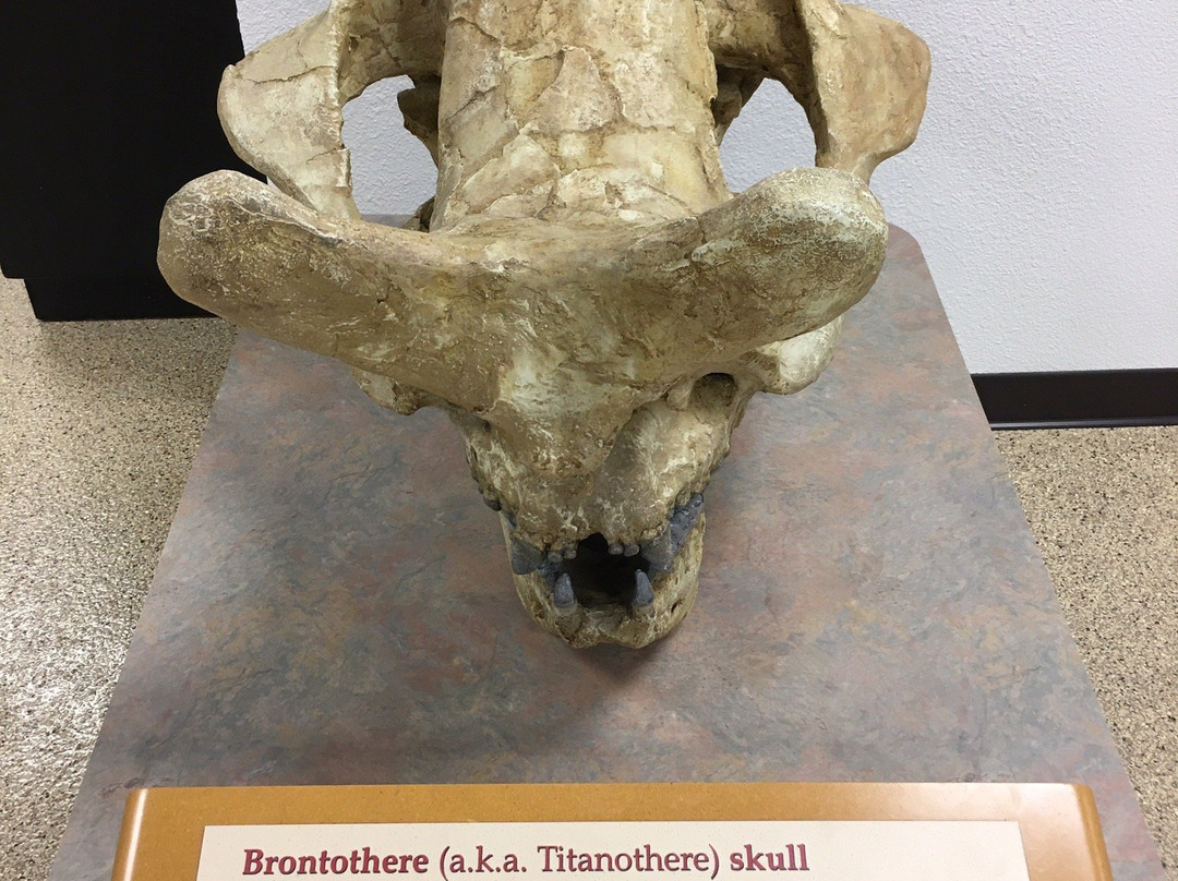 Victor Valley Museum-Apple Valley必去景点