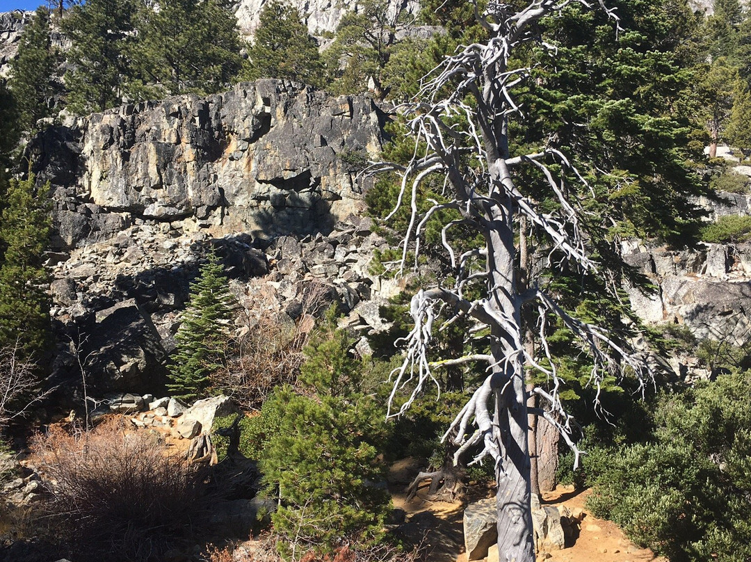 Eagle Falls Trail-塔霍城必去景点
