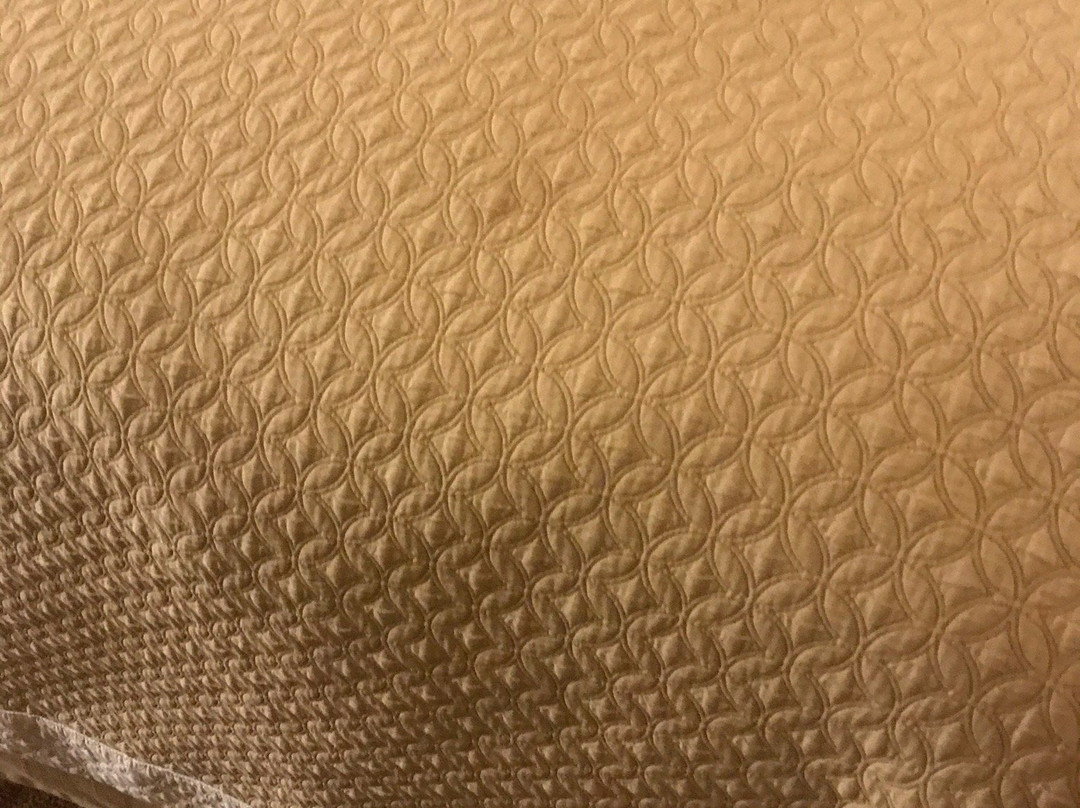 Days Inn by Wyndham Globe主图