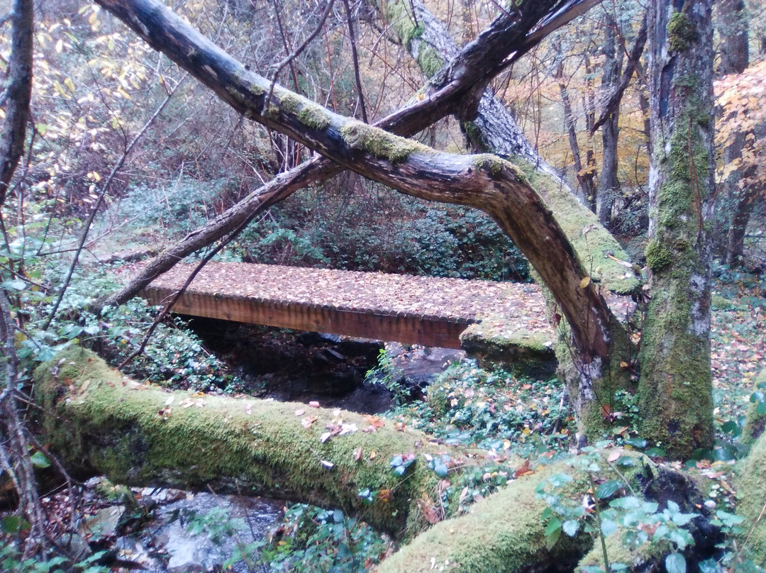 Sendero de Valvanera