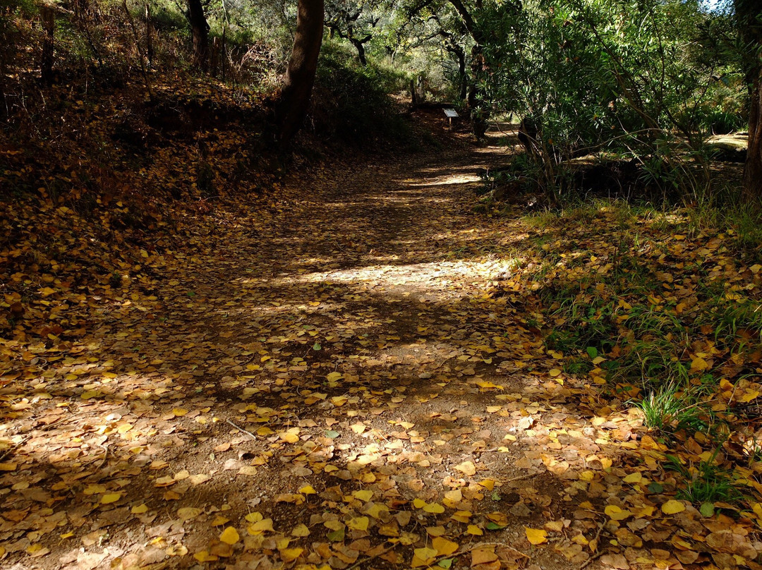 Sendero del Bosque de Las Letras景点图片