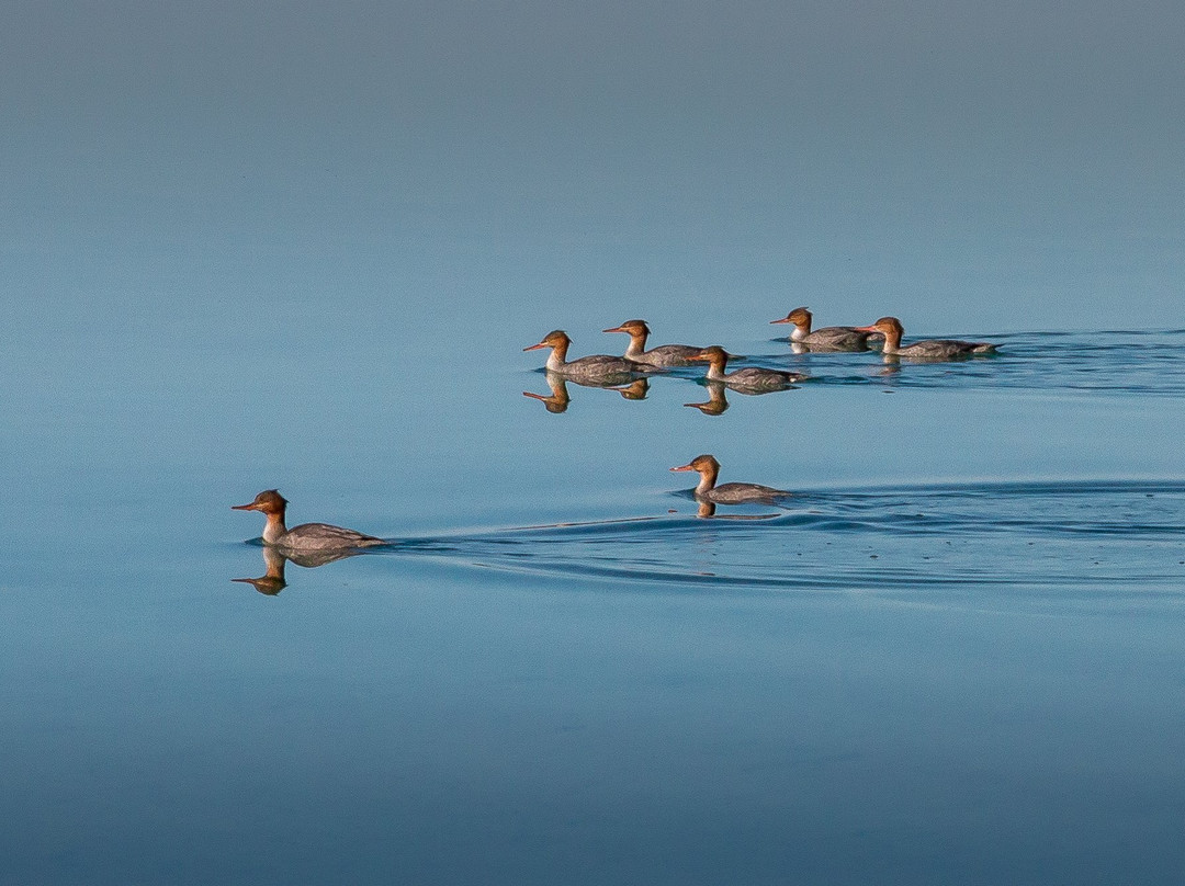 Kathleen Lake-海恩斯章克申必去景点