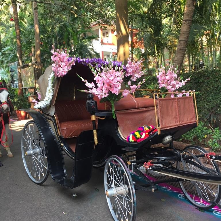 Prakruti Resorts主图