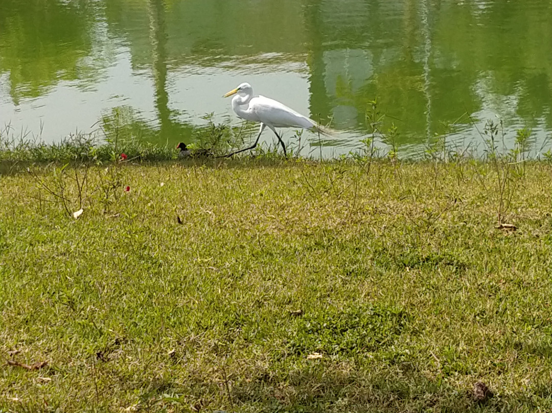 Parque das Águas-索罗卡巴必去景点