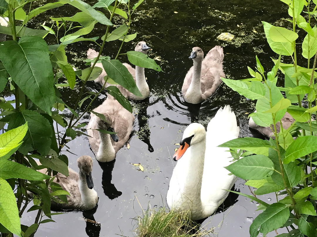 Ninesprings Country Park-约维尔必去景点