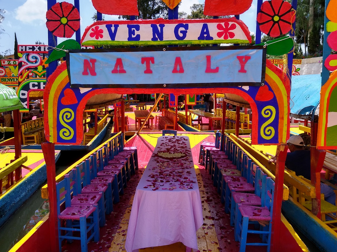 Floating Gardens of Xochimilco-墨西哥城必去景点