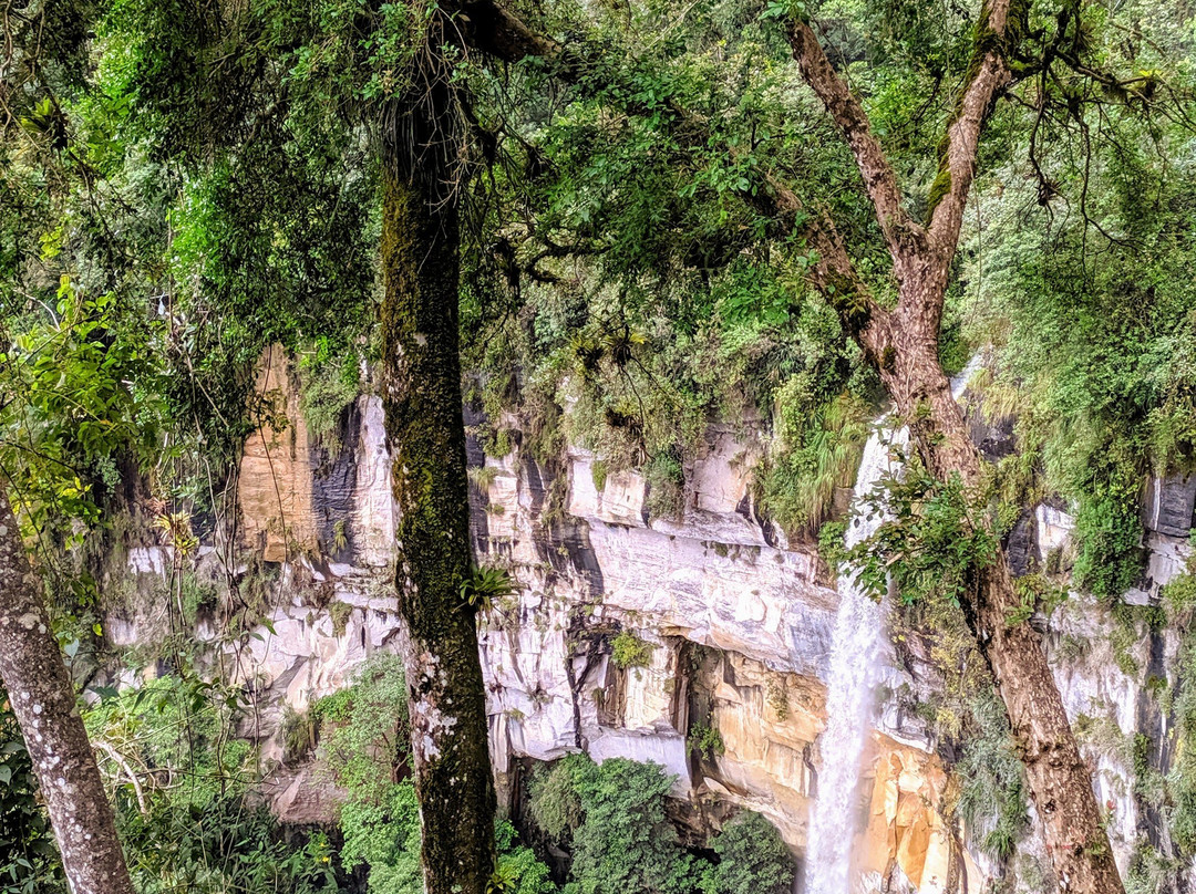 Yumbilla Falls-Chachapoyas必去景点