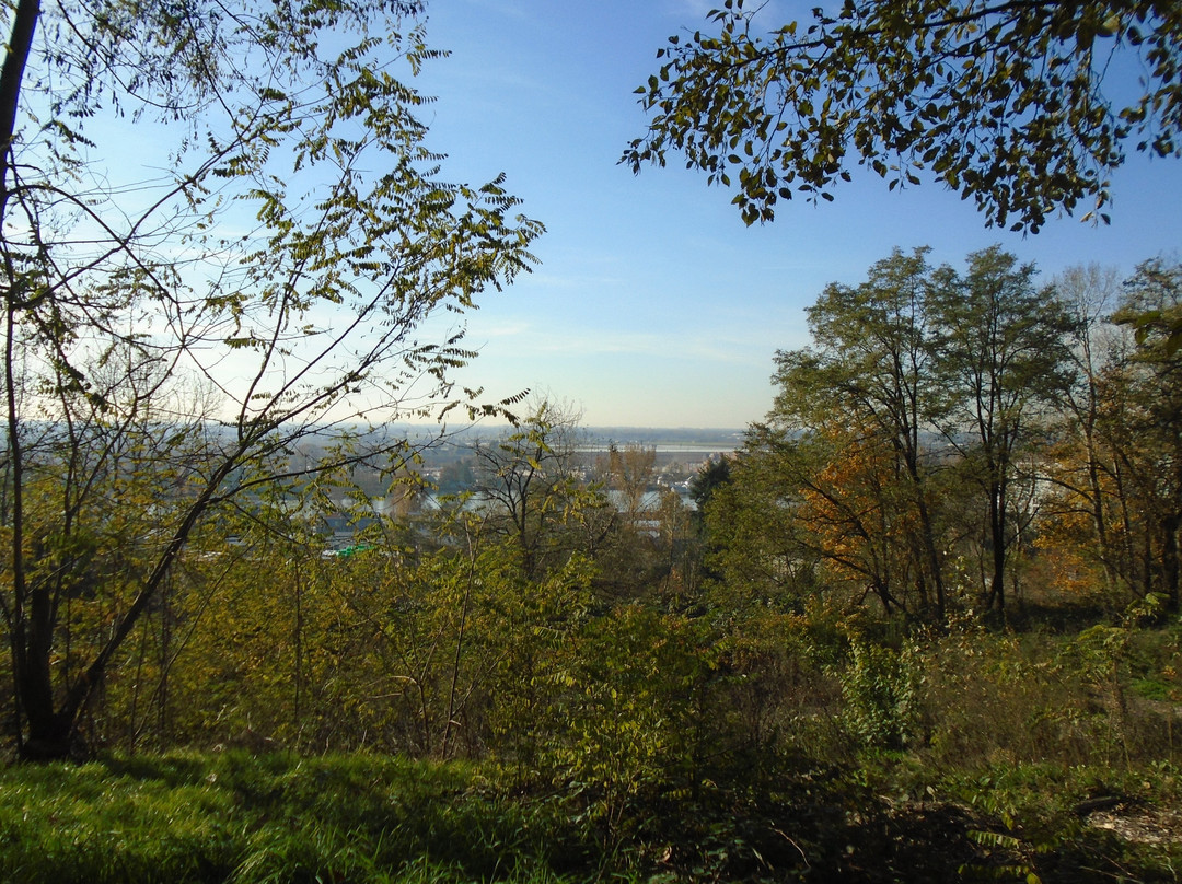 Everett Crowley Park景点图片