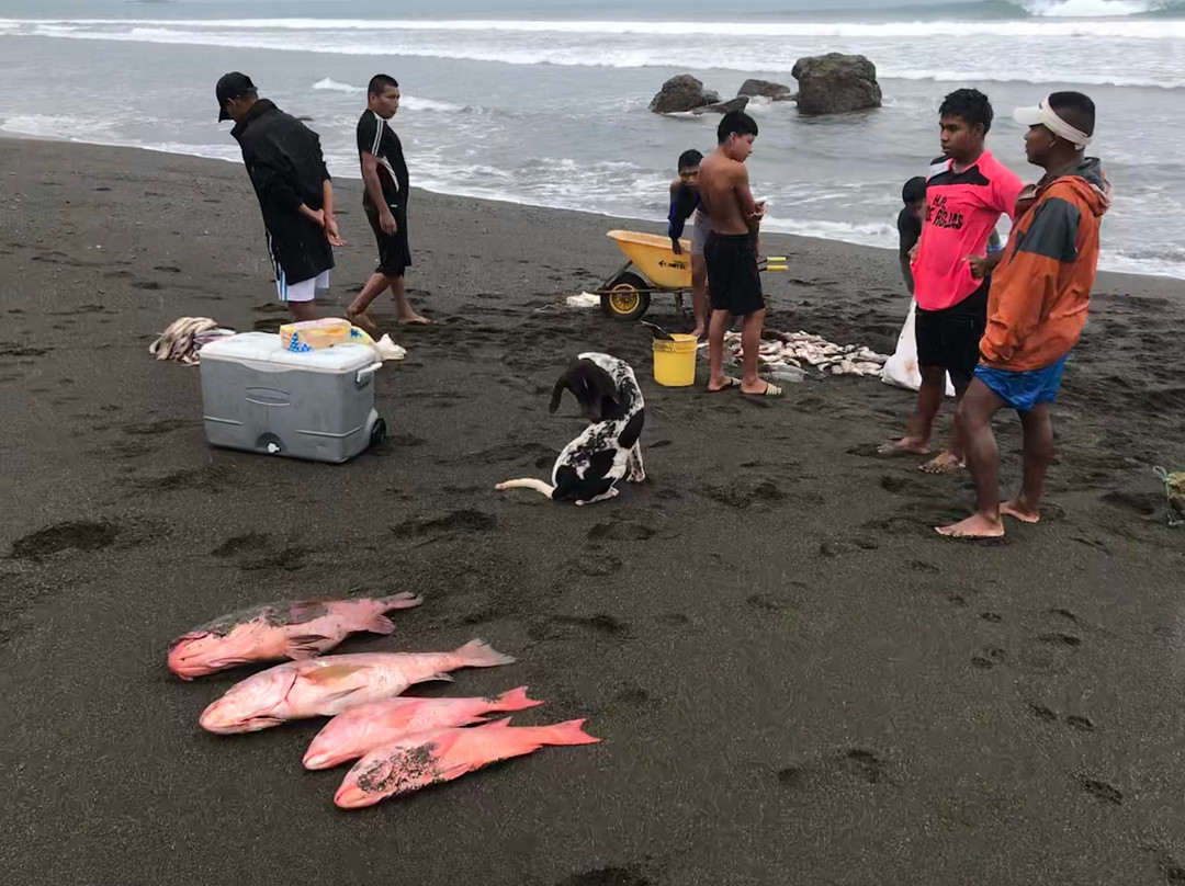 Darien Gap-Yaviza必去景点