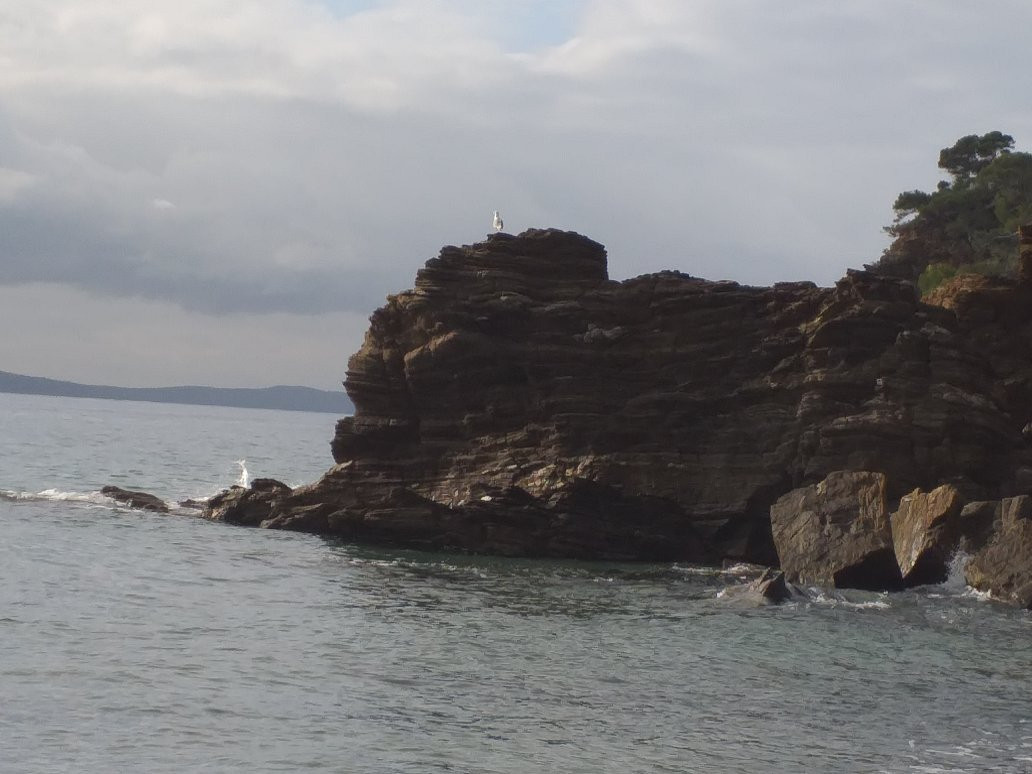 Plage de Bonporteau景点图片