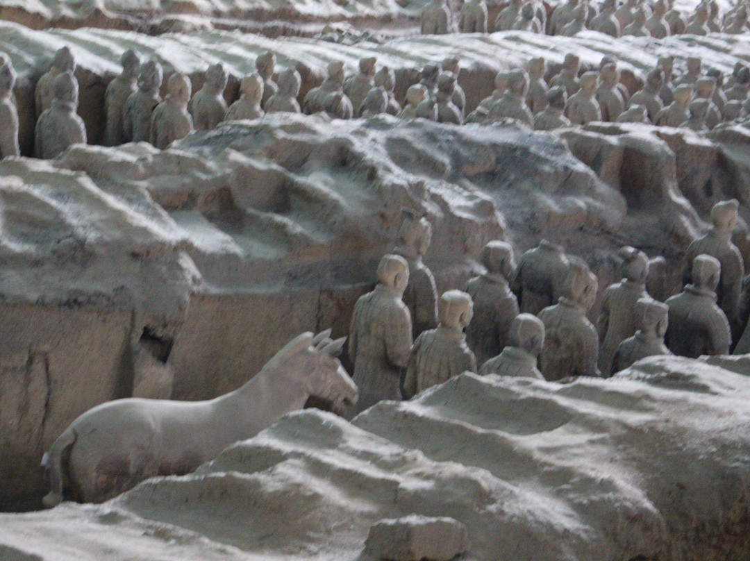 Elysian Tour-西安市必去景点