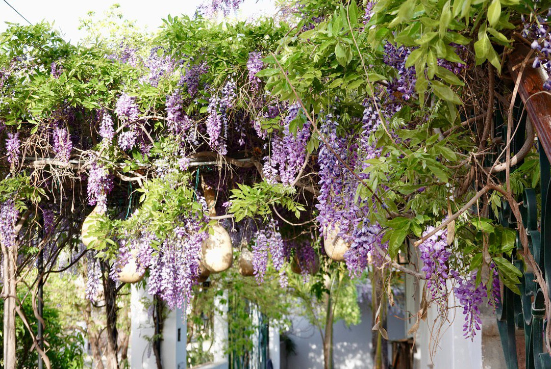 Hotel Portal del Santo Salta Cafayate主图