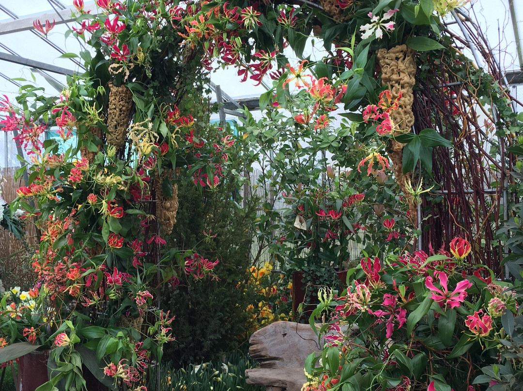 Floralia - Spring Flower Show景点图片