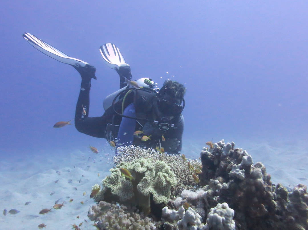 Scuba World Divers Soma Bay景点图片