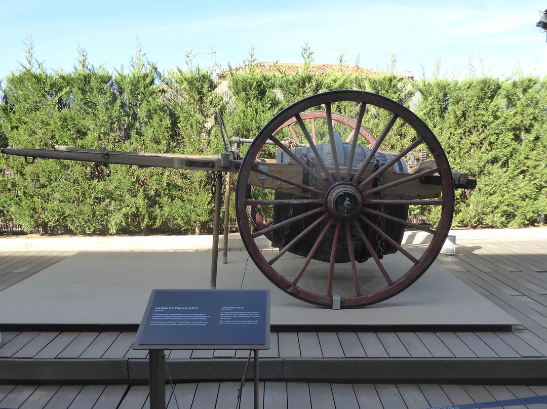 Museo del Vino景点图片