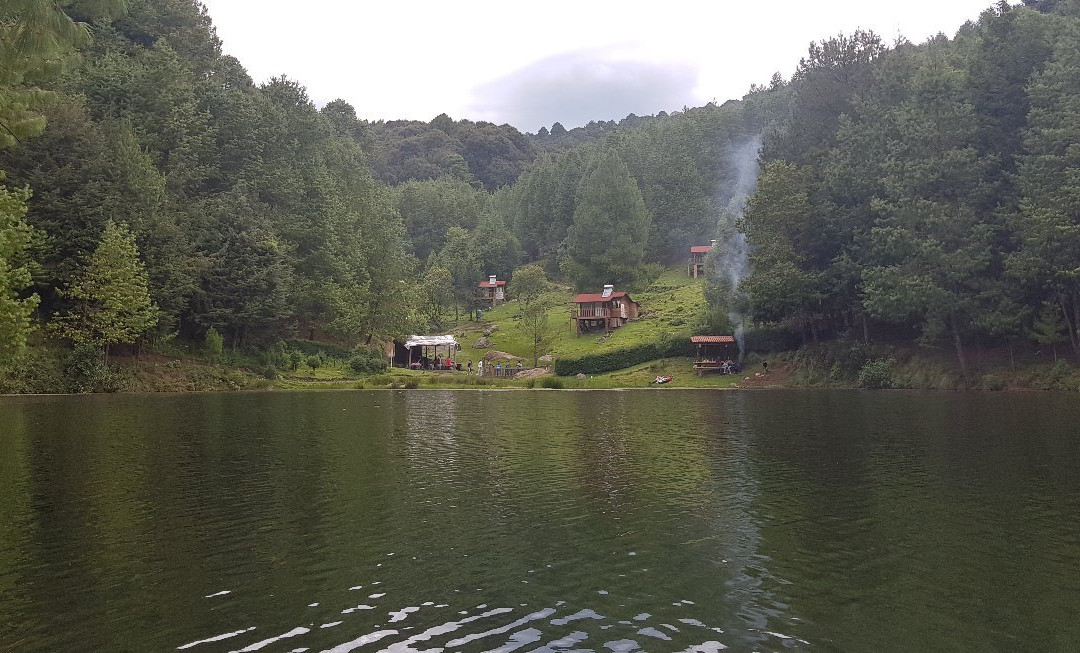 Presa del  Llano景点图片