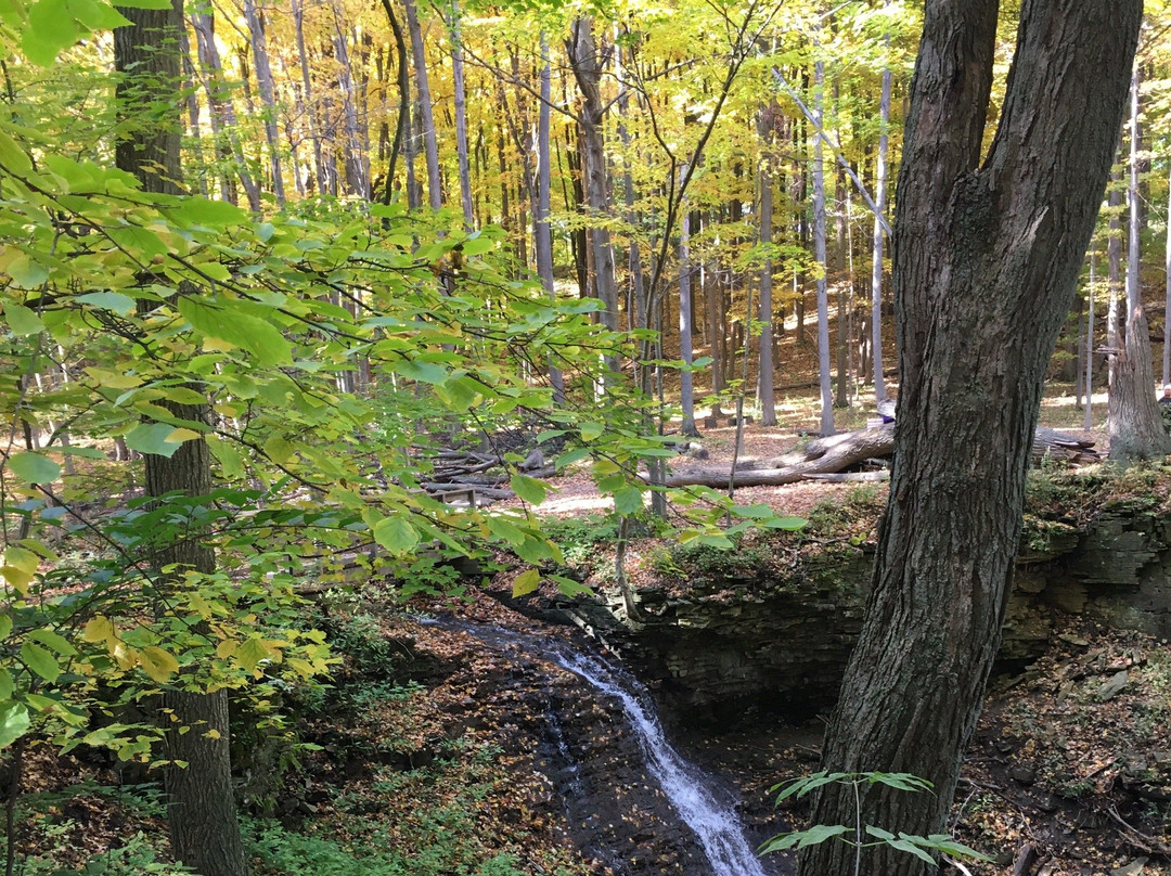 Dundas Valley Conservation Area-汉密尔顿必去景点