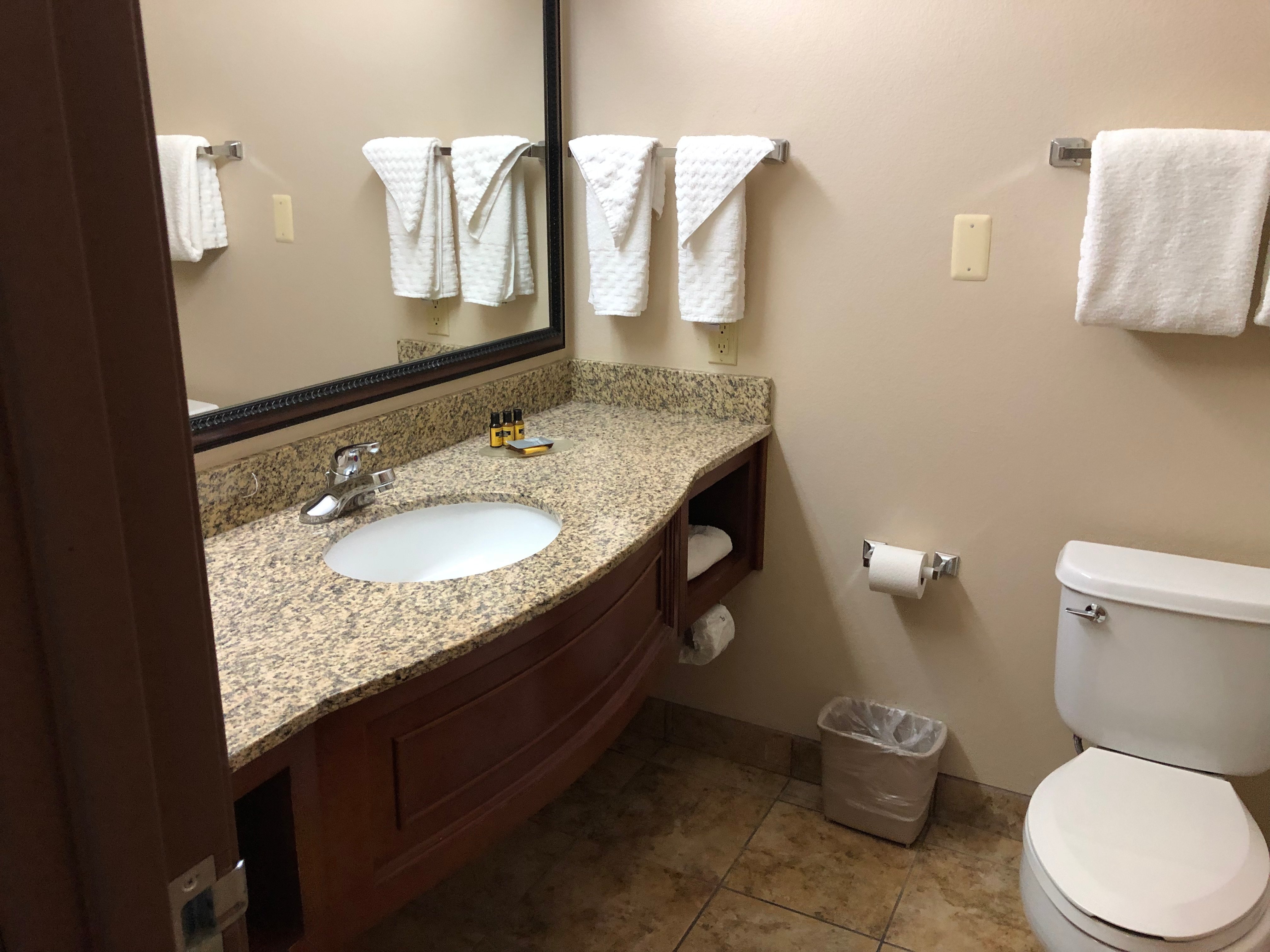 Best Western Plus Butterfield Inn-浴室