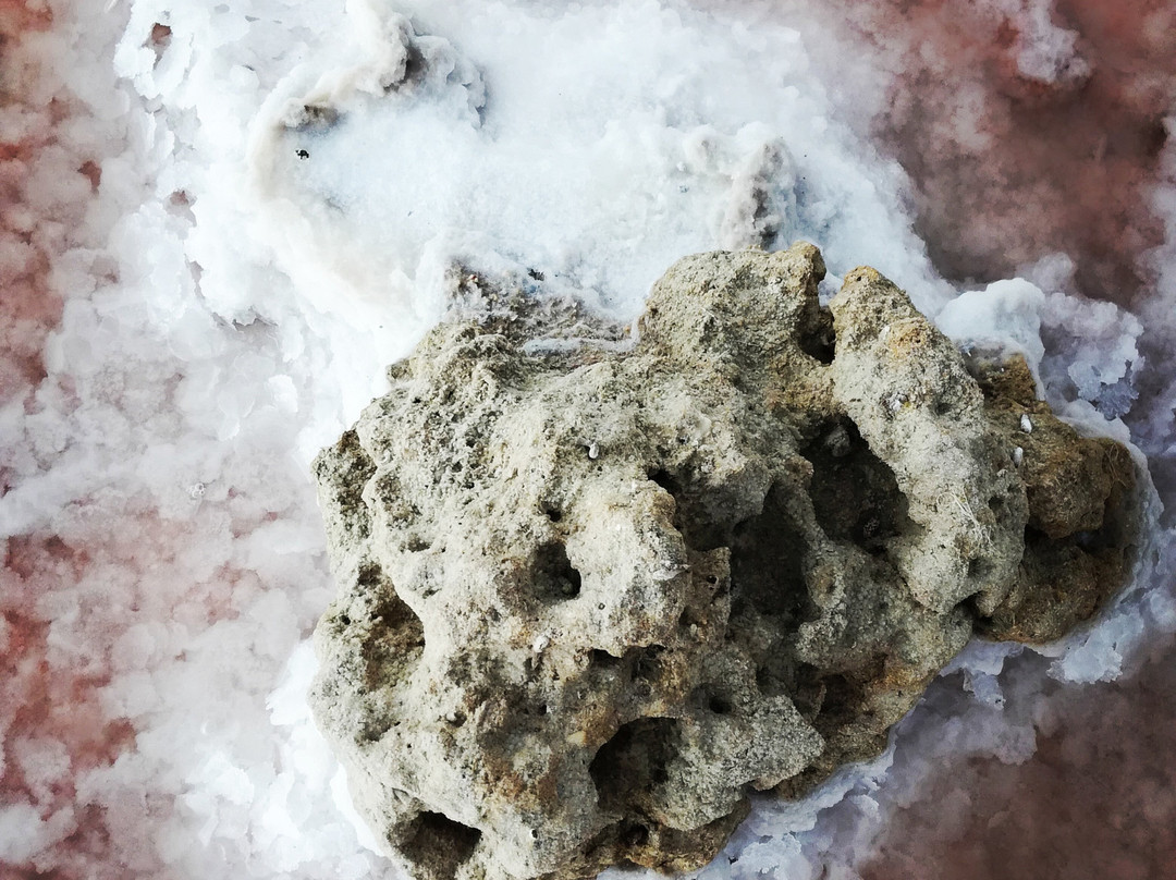 Larnaka Salt Lake-拉纳加必去景点