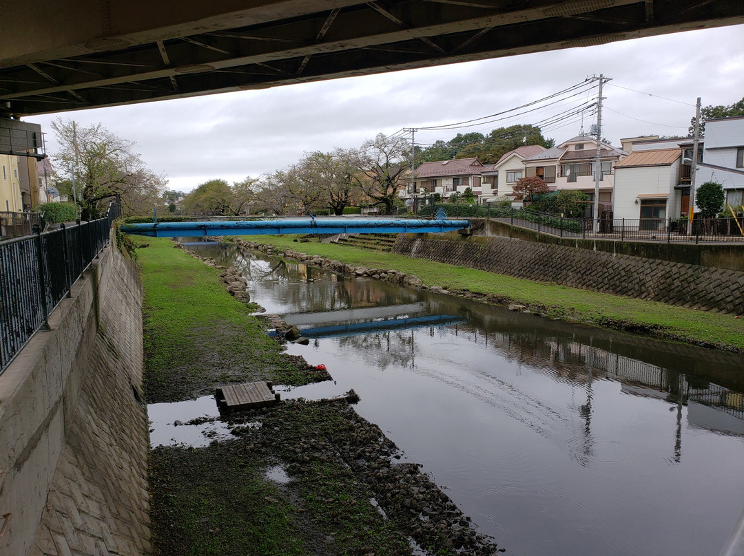 Nogawa River-三鹰市必去景点