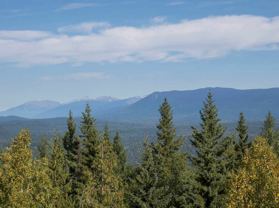 Green Mountain Viewing Tower景点图片