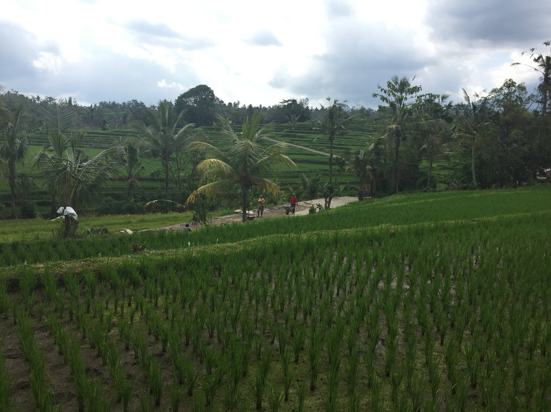 Belulang Hot Spring-达巴南必去景点