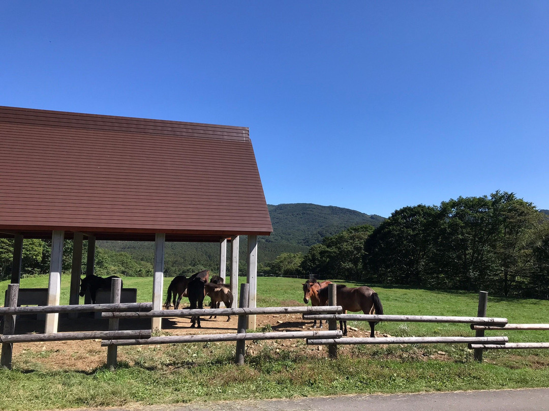 Togakushi Farm-长野县必去景点
