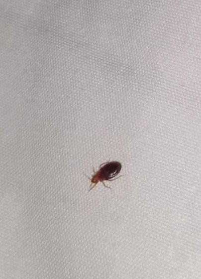 Borger Ambassador Inn主图