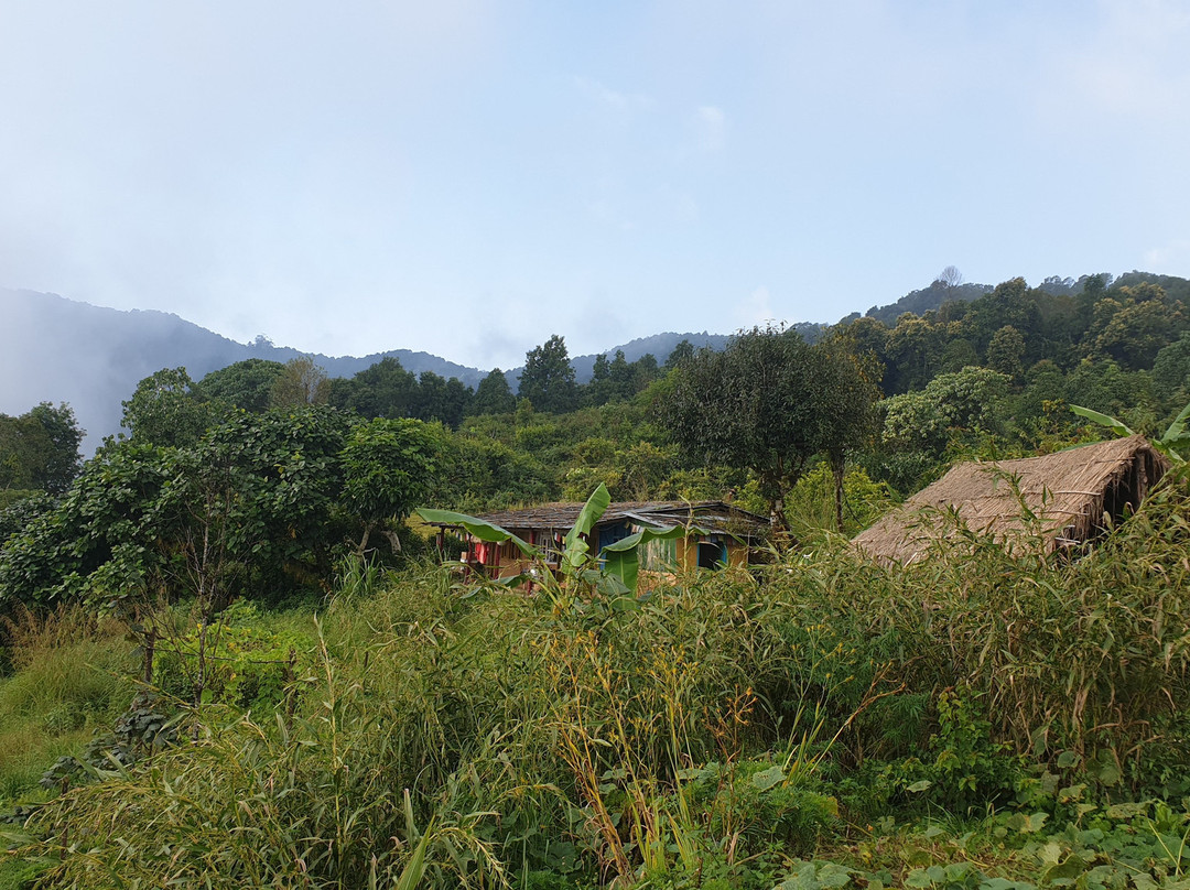 Adam Tribe Organic Farm景点图片