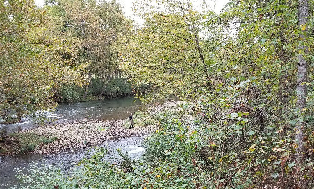 Jackson River Scenic Trail-Covington必去景点