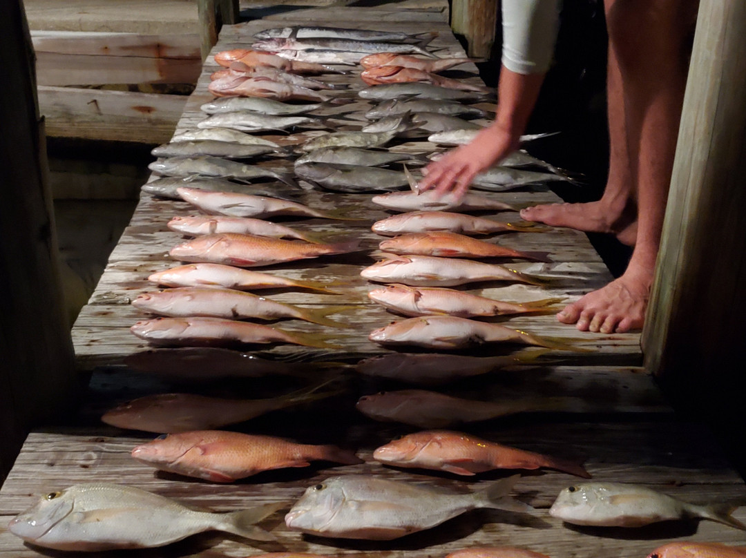 Always & Forever Charters LLC-Cape Haze必去景点