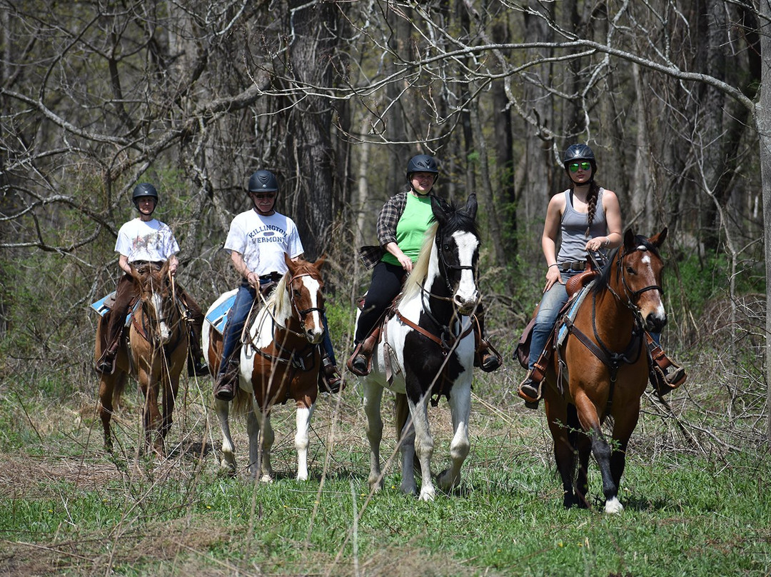 Friendship Equestrian Center景点图片