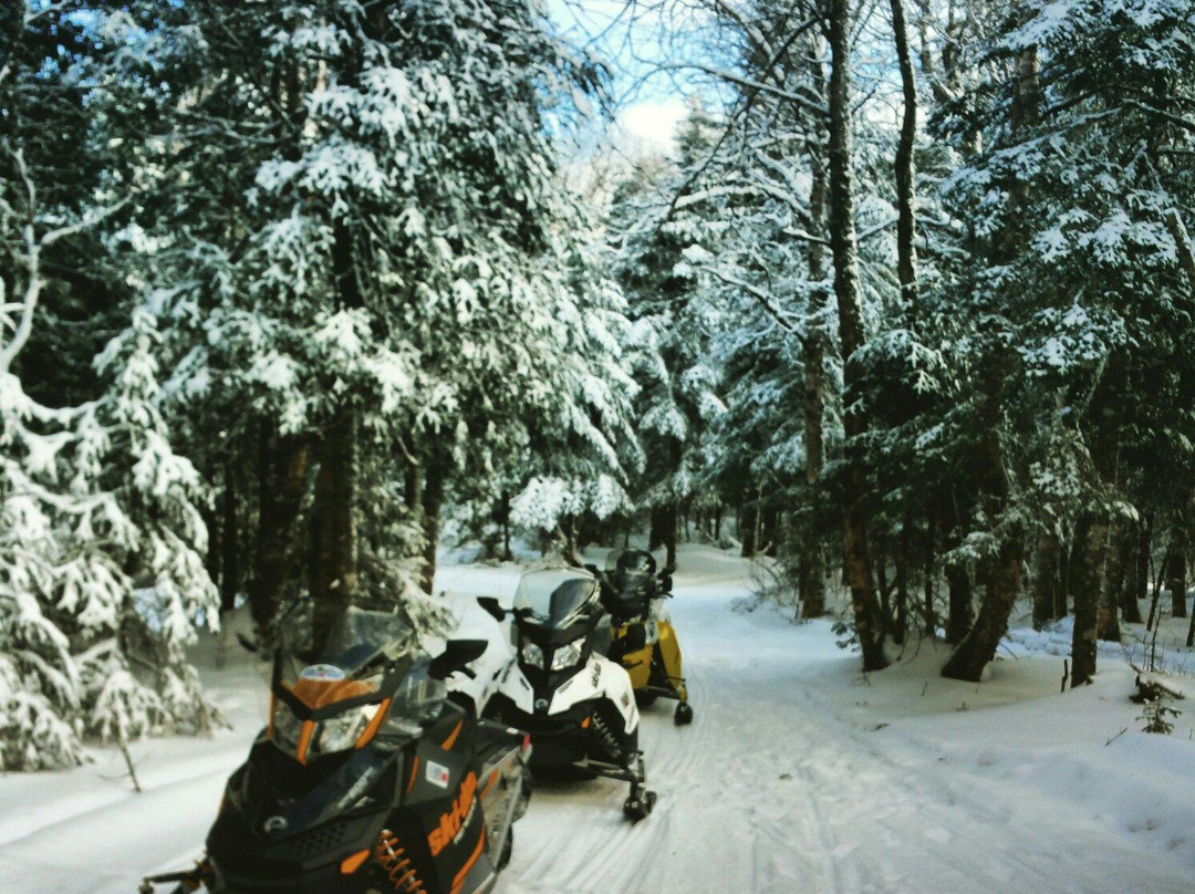 Northern Extremes Snowmobiling - Tours景点图片