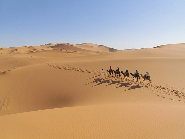 Desert Tours Marocco  Day Tours景点图片