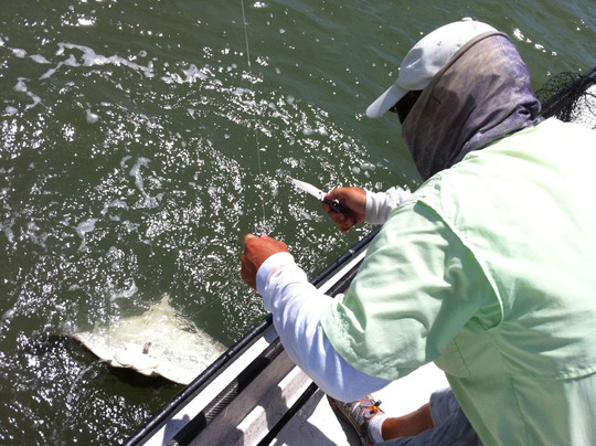 Team Arcure Fishing-迈尔斯堡必去景点