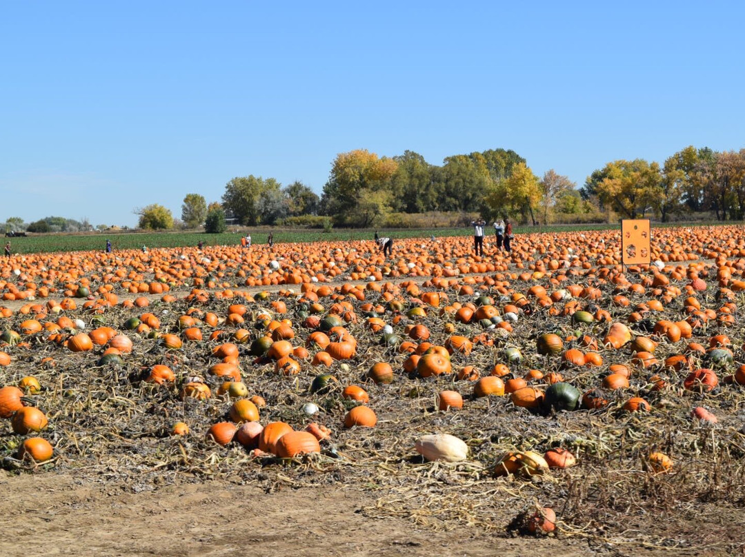 Erie旅游景点-Anderson Farms