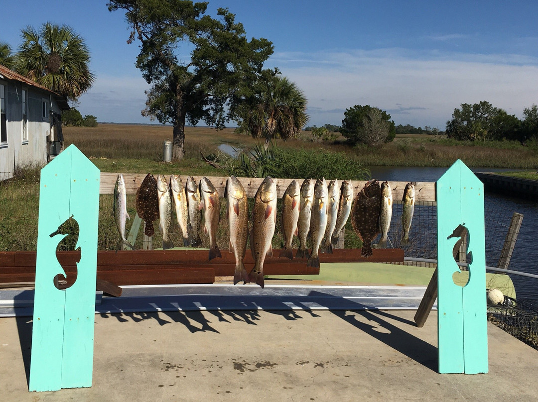 Horseshoe Beach旅游攻略图片
