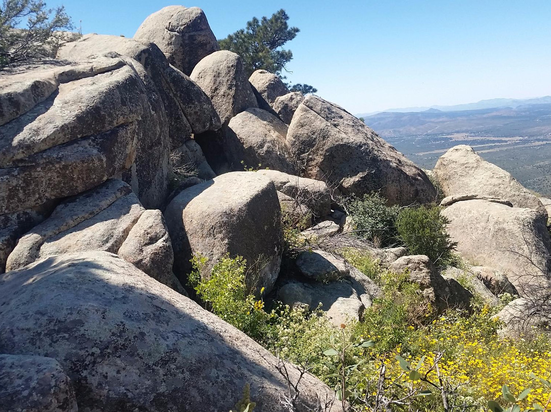 Granite Mountain Trail 261景点图片
